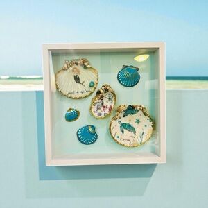 Decorative Seashell Shadow Box